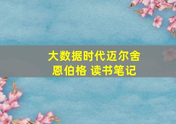 大数据时代迈尔舍恩伯格 读书笔记